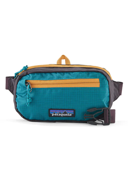 PATAGONIA BLACK HOLE MINI HIP PACK - Image 13
