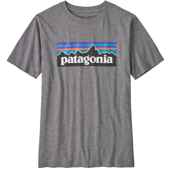 PATAGONIA BOYS REGEN ORGANIC COTTON TEE SHIRT - Image 2