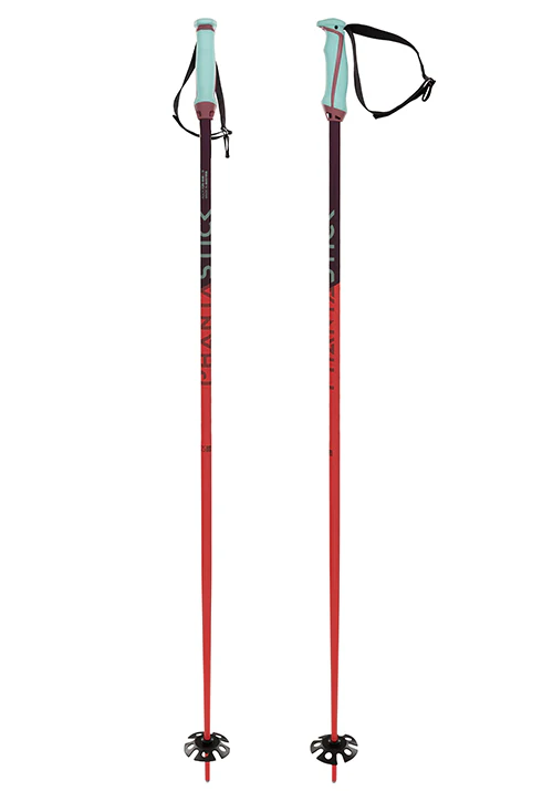 VOLKL PHANTASTICK 18MM POLES - Image 3