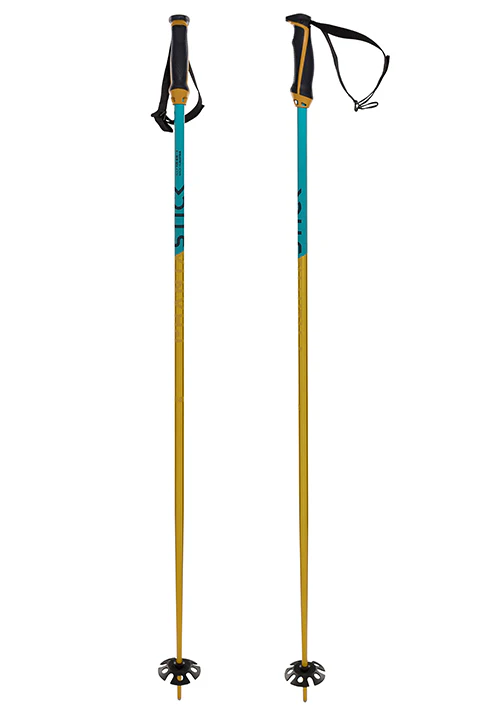 VOLKL PHANTASTICK 18MM POLES - Image 5